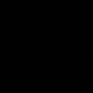 Meet your Posher, Destiny